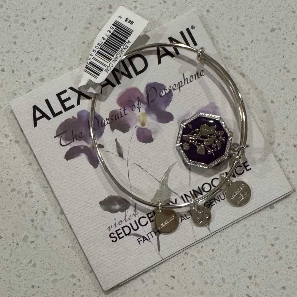 Alex and Ani Violet Charm Bracelet